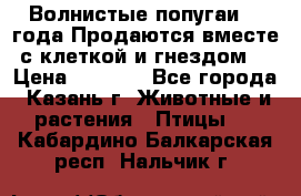 Волнистые попугаи, 2 года.Продаются вместе с клеткой и гнездом. › Цена ­ 2 800 - Все города, Казань г. Животные и растения » Птицы   . Кабардино-Балкарская респ.,Нальчик г.